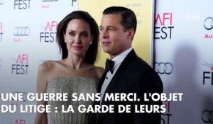 Brad Pitt prêt à tout pour ses enfants, il lance un dernier appel à Angelina Jolie