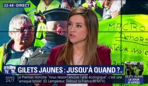 Gilets jaunes, jusqu'à quand ? (1/2)