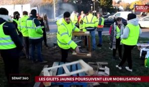 Gilets jaunes / AMF / PMA - Sénat 360 (19/11/2018)