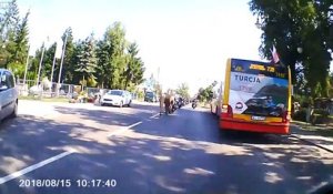 Un motard renversé par un cheval fou au milieu de la route