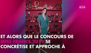 Miss France - Iris Mittenaere : l’endroit très intime où elle cachait son porte-bonheur