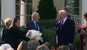 Donald Trump gracie la dinde de Thanksgiving à la Maison Blanche