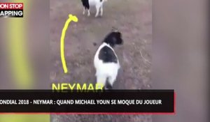 Mondial 2018 - Neymar : Quand Michael Youn se moque du Brésilien, la vidéo hilarante