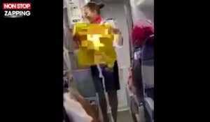 Mondial 2018 : Des supporters brésiliens s'amusent à déconcentrer une hôtesse de l'air (vidéo)