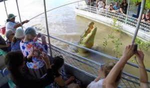Ces touristes vont rencontrer le plus gros crocodile de la region : dominator
