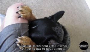 Un chien qui fait sa prière avant de manger