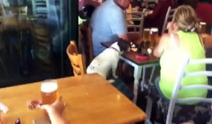 Ils occupent leur chien avec une vidéo sur un iphone comme un enfant au restaurant !