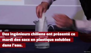 Des ingénieurs chiliens inventent un sac plastique qui se dissout dans l'eau