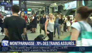 70% des trains circulent ce samedi au départ des gares de Montparnasse et d'Austerlitz