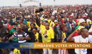 Les Zimbabwéens aux urnes pour élire leur président [The Morning Call]