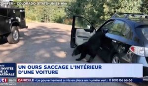 Quand un ours détruit une voiture - ZAPPING ACTU HEBDO DU 04/08/2018