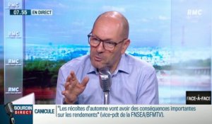 Pascal Perri : Les migrants, une chance pour l'économie française ? - 08/08