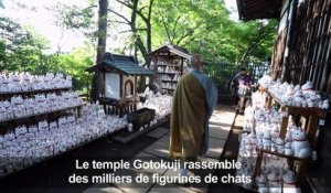 Au Japon, un temple du chat fait fureur sur les réseaux sociaux