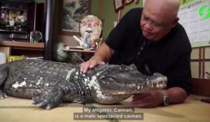 Cet homme vit avec un crocodile de compagnie