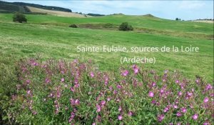 Saint-Eulalie : la ferme de Clastre, témoignage d'un riche passé