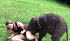 Un bébé éléphant fait des câlins à cette touriste