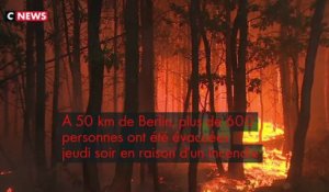 Allemagne : violent feu de forêt près de Berlin
