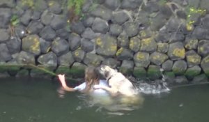 L'incroyable sauvetage d'un chien en train de se noyer à Amsterdam