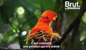 "Les oiseaux disparaissent à grande vitesse en France"… Le vidéaste Max Bird évoque sa passion des oiseaux