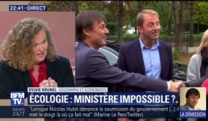Démission de Nicolas Hulot: l'Écologie est-il un ministère impossible ?