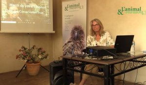 Conférence de Julie Garnier : "Ce que nous apprennent les peuples autochtones sur l’intelligence animale à travers leur relation avec la nature"
