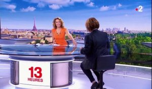 Remaniement : retour sur les nominations de François de Rugy et de Roxana Maracineanu