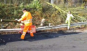 Gilets jaunes: la Région wallonne portera plainte pour les dégâts causés