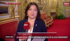 Les questions d'actualité au gouvernement - Sénat 360 (22/11/2018)