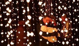 Angleterre : toute la magie de Noël à Kew Gardens