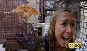 Enora Malagré en panique avec un tigre (Fort Boyard) - ZAPPING PEOPLE DU 10/09/2018