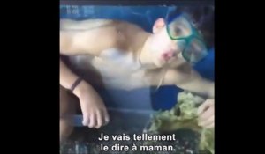 Quand tu retrouves ton frère dans l'aquarium de la maison