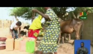 4 régions du Burkina Faso touchées par la crise alimentaire reçoivent un soutient de la FAO