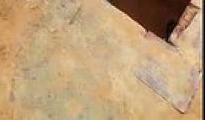 Bebe Faon Sauve D Un Egout Sous Le Trottoir Sur Orange Videos