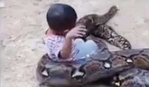 Des parents inconscients laissent leur enfant jouer avec un énorme python
