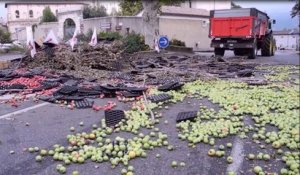 Drôme : en colère, des agriculteurs déversent des fruits devant la préfecture à Valence