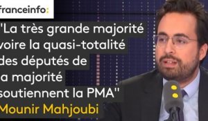 "La très grande majorité voire la quasi-totalité des députés de la majorité soutiennent la PMA" affirme Mounir Mahjoubi