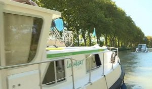 Canal du Midi : inquiétude autour de l'abattage des platanes centenaires
