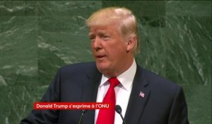 Assemblée générale de l'ONU : Donald Trump promet une "réponse" américaine en cas d'utilisation d'armes chimiques en Syrie