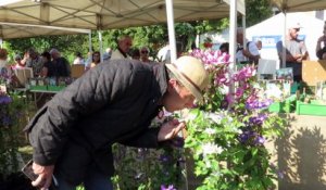 Châbons : quand les plantes envahissent le château de Pupetières