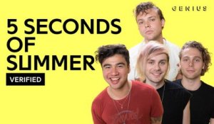 5 Seconds of Summer "Valentine" Official Lyrics & Meaning | Verified