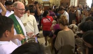 Bénédiction annuelle d'animaux de compagnie dans une église de Manille