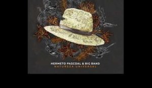 Viva o Gil Evans - Hermeto Pascoal & Big Band