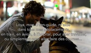 Un malvoyant et son chien-guide virés d'un Monoprix (Marseille)