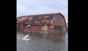 Voitures retournées, hangars inondés... la Floride après le passage de l'ouragan Michael