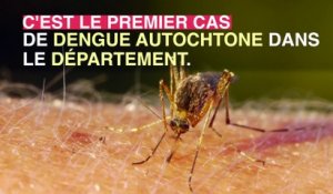 Dengue : un cas autochtone détecté pour la première fois dans l'Hérault