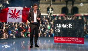 Le Canada est le deuxième pays à légaliser la marijuana