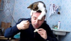 Voici Le Sac A Dos Parfait Pour Promener Votre Chat Sur Orange Videos