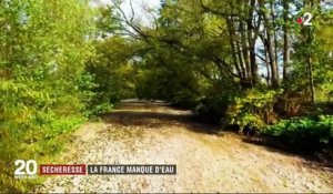 Sécheresse : le manque d'eau redessine les paysages de France