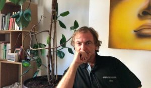 Interview de Didier van Cauwelaert : on ne pigeonne pas les abeilles!