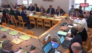 Budget du ministère des sports : l'audition de roxana maracineanu   - Les matins du Sénat (25/10/2018)